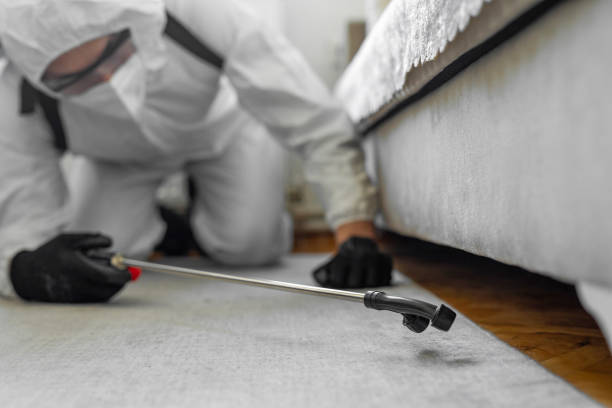 Professional Termite Control technician working in Dos Palos, CA