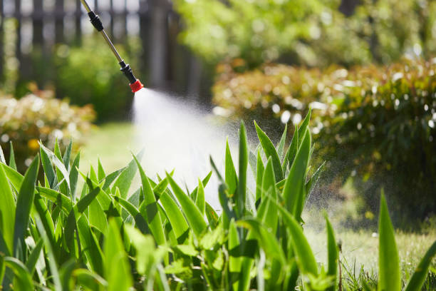 24/7 Emergency Termite Control experts in Dos Palos, CA